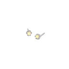Opal stud earrings in a sterling silver setting.