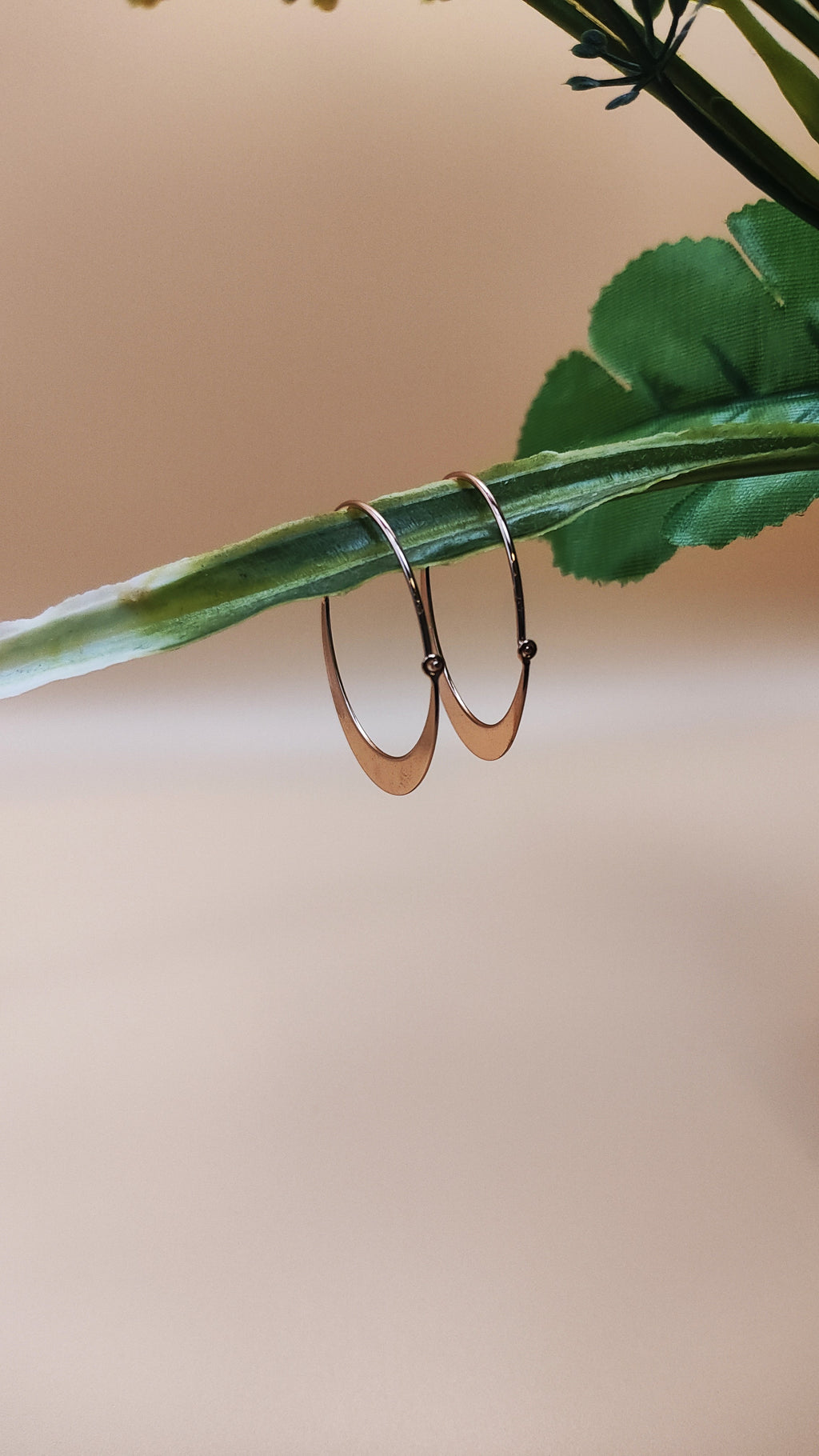 Sterling Silver Thick Slanted Hoops in rose gold color